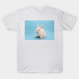 baby bunny T-Shirt